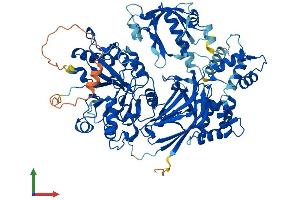 AlphaFold protein structure predicition of Human Recombinant PLCD4 Protein, UniprotID Q9BRC7
