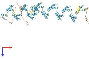 AlphaFold protein structure predicition of Human Recombinant ZNF780B Protein, UniprotID Q9Y6R6