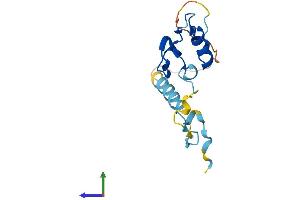AlphaFold protein structure predicition of Mouse Recombinant Nanos2 Protein, UniprotID P60322