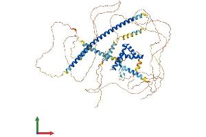 AlphaFold protein structure predicition of Human Recombinant SOX5 Protein, UniprotID P35711