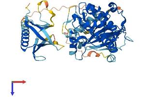 V-Akt Murine Thymoma Viral Oncogene Homolog 1 (AKT1) (AA 1-480) protein (His tag)