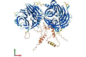 AlphaFold protein structure predicition of Human Recombinant LLGL1 Protein, UniprotID Q15334