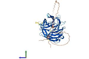 AlphaFold protein structure predicition of Mouse Recombinant Dph7 Protein, UniprotID Q9CYU6
