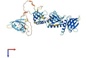 AlphaFold protein structure predicition of Mouse Recombinant Snta1 Protein, UniprotID Q61234