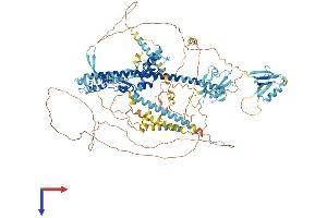 AlphaFold protein structure predicition of Human Recombinant PDZRN3 Protein, UniprotID Q9UPQ7