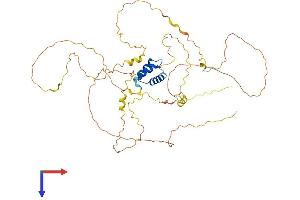 AlphaFold protein structure predicition of Human Recombinant IRX1 Protein, UniprotID P78414