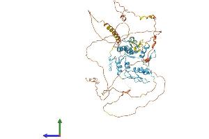 AlphaFold protein structure predicition of Human Recombinant ZNF652 Protein, UniprotID Q9Y2D9