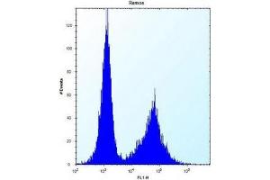 Flow cytometric analysis of Ramos cells using Necdin Antibody (N-term) Cat.