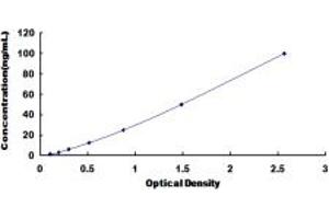 Typical standard curve (RAP1 Kit ELISA)