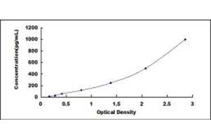 Typical standard curve (DEFB119 Kit ELISA)