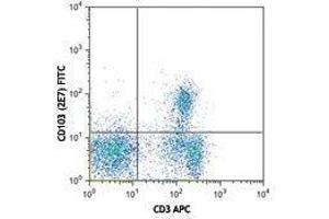 Flow Cytometry (FACS) image for anti-Integrin, alpha E (Antigen CD103, Human Mucosal Lymphocyte Antigen 1, alpha Polypeptide) (ITGAE) antibody (FITC) (ABIN2661454)