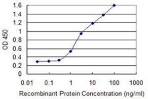 Detection limit for recombinant GST tagged ALPI is 0. (Intestinal Alkaline Phosphatase anticorps  (AA 74-162))