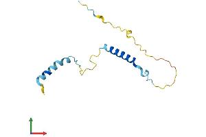 AlphaFold protein structure predicition of Mouse Recombinant Pcp2 Protein, UniprotID P12660