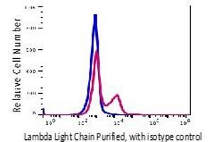 Flow Cytometry (FACS) image for anti-lambda Light Chain (Lambda-IgLC) antibody (ABIN5563943) (Lambda-IgLC anticorps)