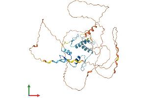 AlphaFold protein structure predicition of Human Recombinant WT1 Protein, UniprotID P19544
