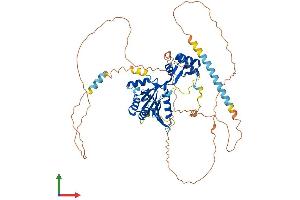 AlphaFold protein structure predicition of Mouse Recombinant Fam83d Protein, UniprotID Q9D7I8