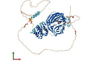 AlphaFold protein structure predicition of Mouse Recombinant Taf5 Protein, UniprotID Q8C092