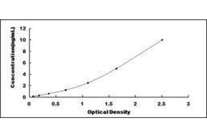 ELISA image for Complement Component 1, Q Subcomponent, A Chain (C1QA) ELISA Kit (ABIN418900)