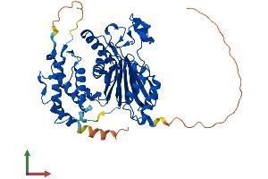 AlphaFold protein structure predicition of Mouse Recombinant Ppm1f Protein, UniprotID Q8CGA0