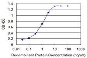 Detection limit for recombinant GST tagged CDH2 is 0.