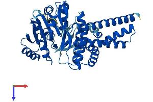 AlphaFold protein structure predicition of Mouse Recombinant Ugcg Protein, UniprotID O88693