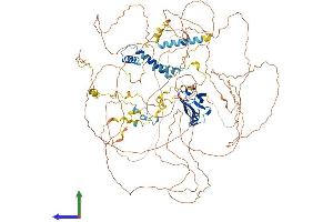 AlphaFold protein structure predicition of Mouse Recombinant Synpo2 Protein, UniprotID Q91YE8