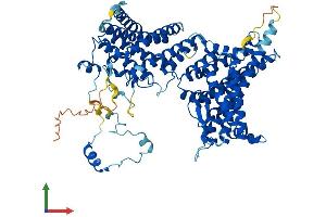 AlphaFold protein structure predicition of Human Recombinant NAA35 Protein, UniprotID Q5VZE5
