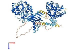 AlphaFold protein structure predicition of Mouse Recombinant Chsy1 Protein, UniprotID Q6ZQ11