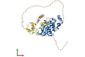 AlphaFold protein structure predicition of Human Recombinant CDK17 Protein, UniprotID Q00537