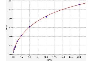 Typical standard curve (Hsc70 Kit ELISA)