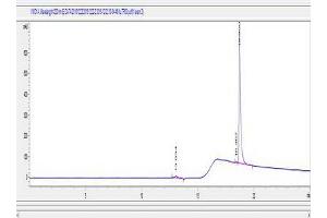 Tumor Protein P63 (TP63) peptide (Ovalbumin)