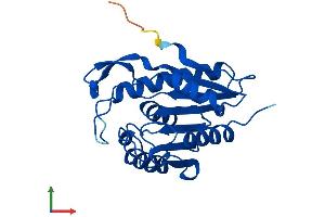 AlphaFold protein structure predicition of Human Recombinant LYPLA1 Protein, UniprotID O75608