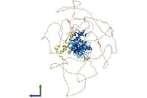 AlphaFold protein structure predicition of Mouse Recombinant Senp7 Protein, UniprotID Q8BUH8