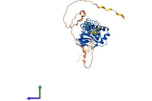 AlphaFold protein structure predicition of Mouse Recombinant Popdc2 Protein, UniprotID Q9ES82