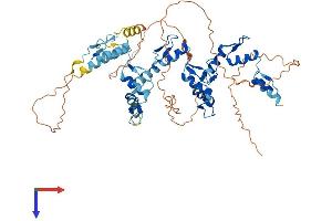 AlphaFold protein structure predicition of Human Recombinant ZNF697 Protein, UniprotID Q5TEC3