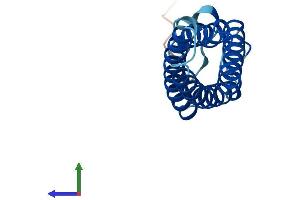 AlphaFold protein structure predicition of Mouse Recombinant Mal Protein, UniprotID O09198