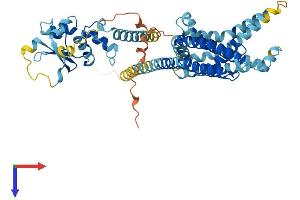 AlphaFold protein structure predicition of Human Recombinant KCNG1 Protein, UniprotID Q9UIX4