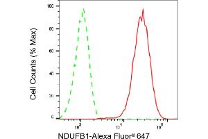 Flow cytometric analysis of NDUFB1 expression in HepG2 cells using NDUFB1 antibody (ABIN7799545), 1:1,000). (Recombinant NDUFB1 anticorps)