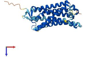 AlphaFold protein structure predicition of Human Recombinant OR2J2 Protein, UniprotID O76002