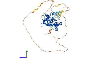 AlphaFold protein structure predicition of Human Recombinant NFIB Protein, UniprotID O00712