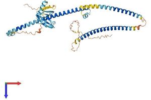AlphaFold protein structure predicition of Mouse Recombinant Rassf9 Protein, UniprotID Q8K342