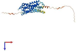 Leukotriene B4 Receptor (LTB4R) (AA 1-351) protein (His tag)
