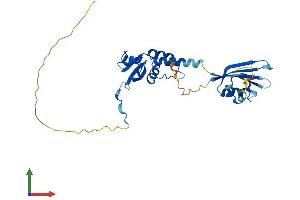 AlphaFold protein structure predicition of Mouse Recombinant Kctd15 Protein, UniprotID Q8K0E1
