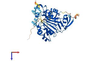 AlphaFold protein structure predicition of Mouse Recombinant As3mt Protein, UniprotID Q91WU5