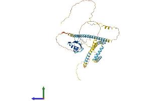 AlphaFold protein structure predicition of Human Recombinant UPF3B Protein, UniprotID Q9BZI7