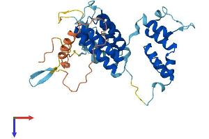 AlphaFold protein structure predicition of Mouse Recombinant Fbxo25 Protein, UniprotID Q9D2Y6