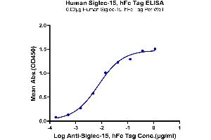 Immobilized Human Siglec-15, hFc Tag at 0.