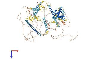 AlphaFold protein structure predicition of Human Recombinant HAUS6 Protein, UniprotID Q7Z4H7