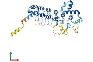 AlphaFold protein structure predicition of Human Recombinant ASB12 Protein, UniprotID Q8WXK4