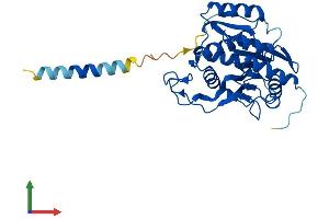 AlphaFold protein structure predicition of Human Recombinant B3GALT5 Protein, UniprotID Q9Y2C3